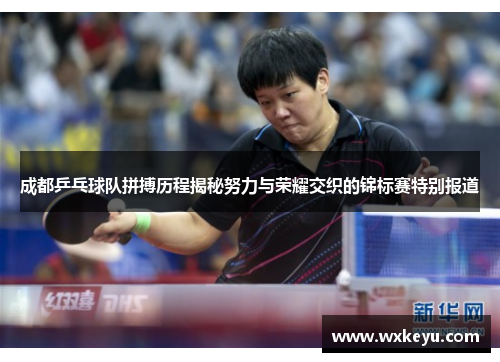 成都乒乓球队拼搏历程揭秘努力与荣耀交织的锦标赛特别报道