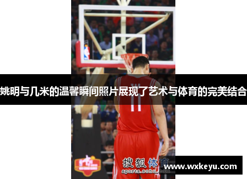 姚明与几米的温馨瞬间照片展现了艺术与体育的完美结合