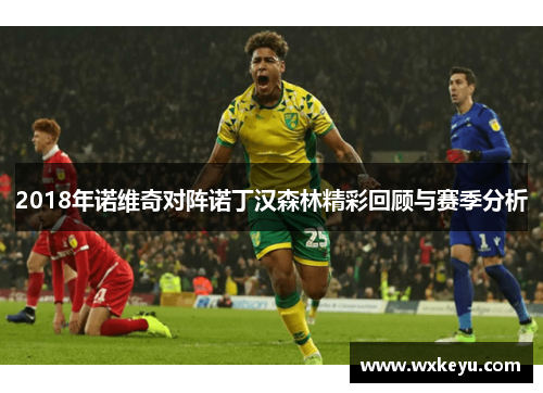 2018年诺维奇对阵诺丁汉森林精彩回顾与赛季分析