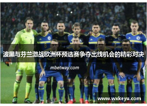 波黑与芬兰激战欧洲杯预选赛争夺出线机会的精彩对决